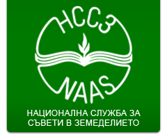 logo bg